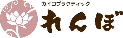 カイロプラクティックれんぼ